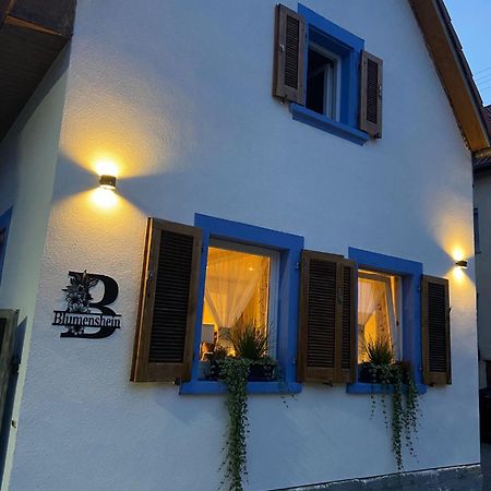 Ferienwohnung Blumenshein Bei Speyer Karlsruhe Familienfreundlich 5 Pers Zeiskam Екстер'єр фото