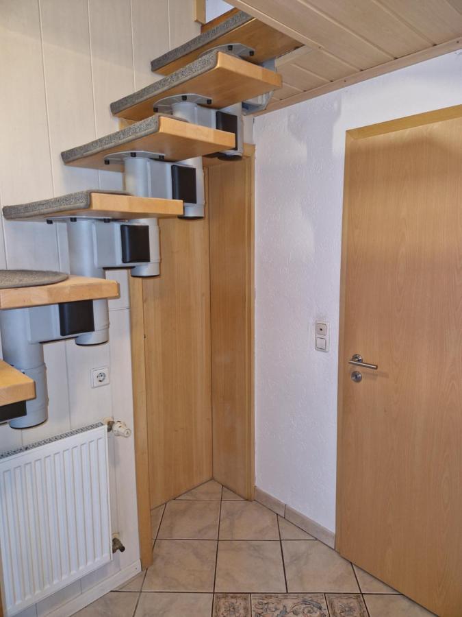 Ferienwohnung Blumenshein Bei Speyer Karlsruhe Familienfreundlich 5 Pers Zeiskam Екстер'єр фото