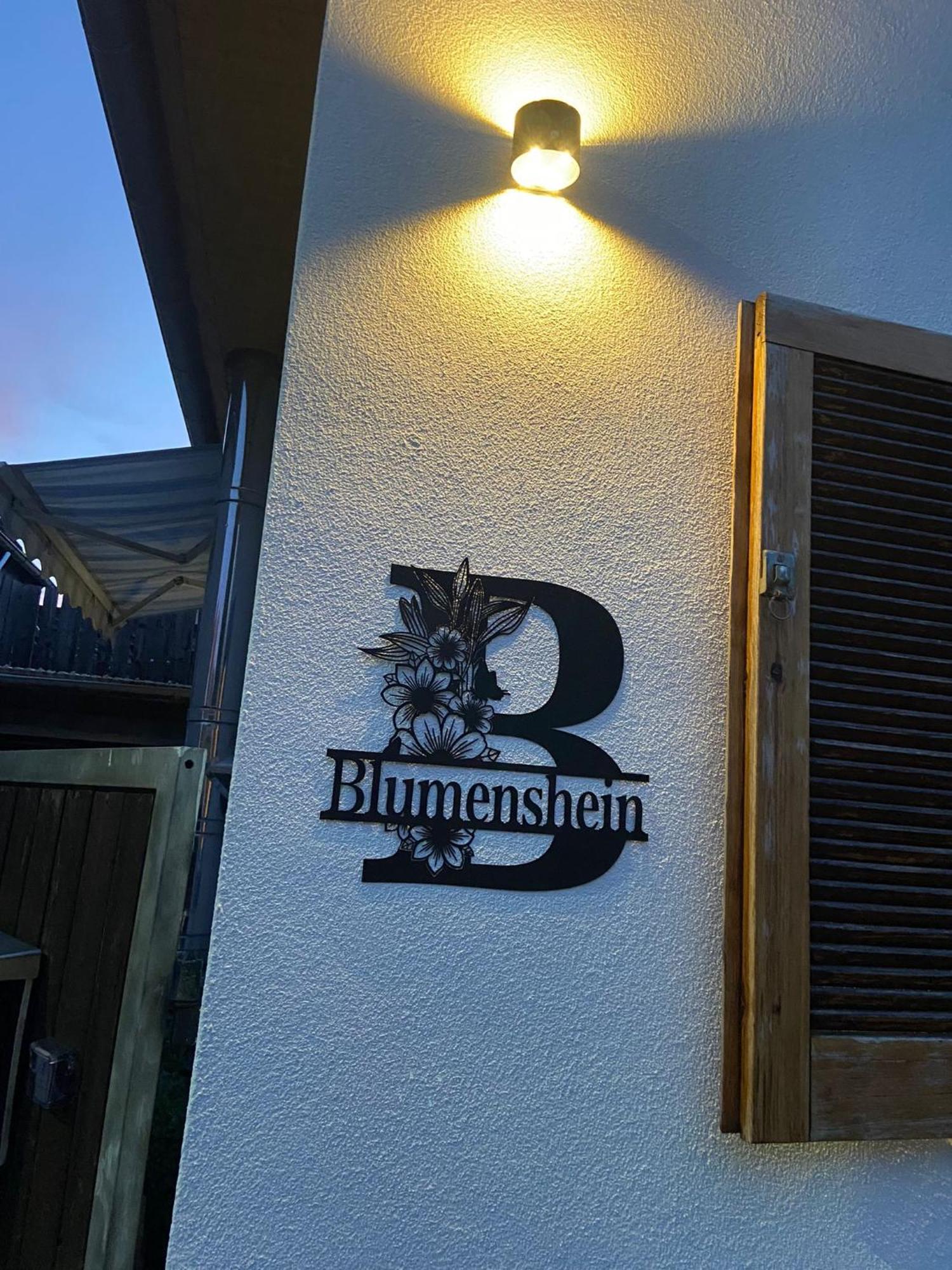 Ferienwohnung Blumenshein Bei Speyer Karlsruhe Familienfreundlich 5 Pers Zeiskam Екстер'єр фото